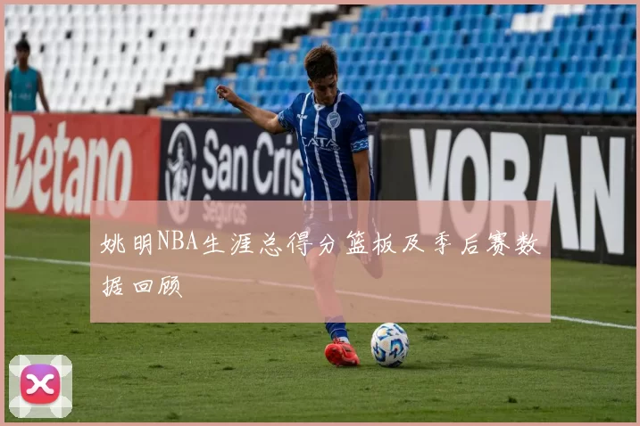 姚明NBA生涯总得分篮板及季后赛数据回顾