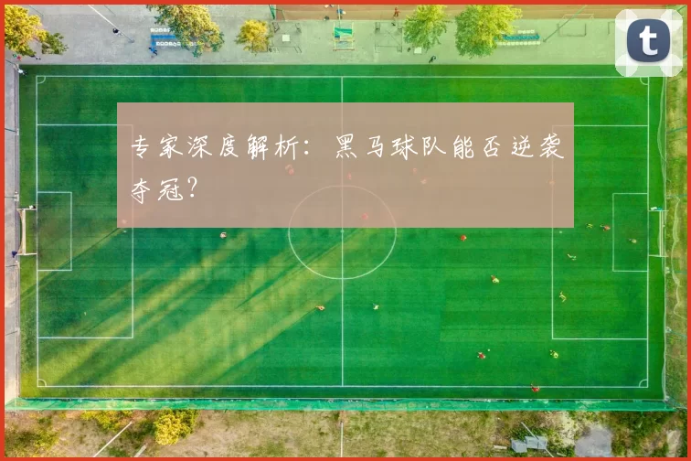 专家深度解析:黑马球队能否逆袭夺冠?