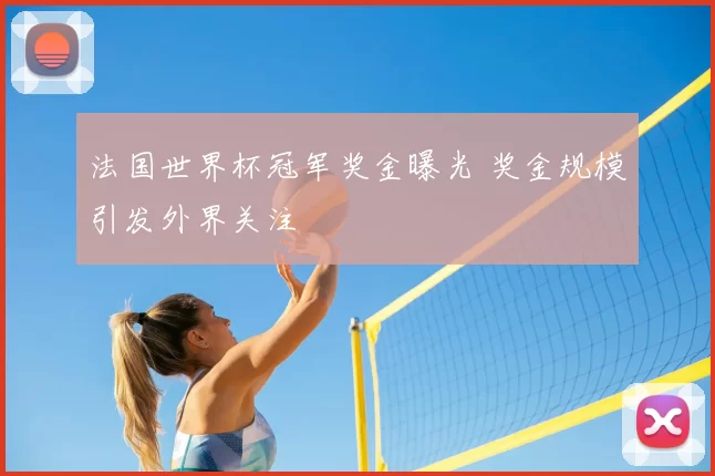 法国世界杯冠军奖金曝光 奖金规模引发外界关注