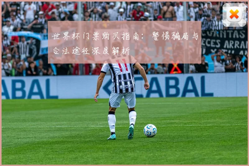 世界杯门票购买指南:警惕骗局与合法途径深度解析