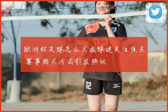 欧洲杯足球怎么买成球迷关注焦点 赛事购买方式引发热议