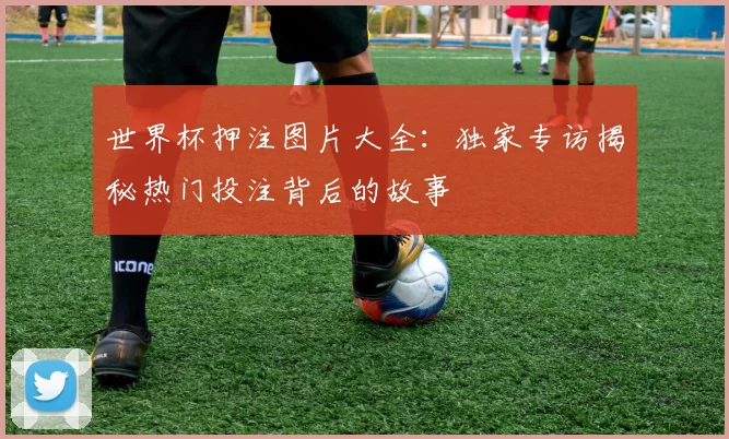 世界杯押注图片大全:独家专访揭秘热门投注背后的故事
