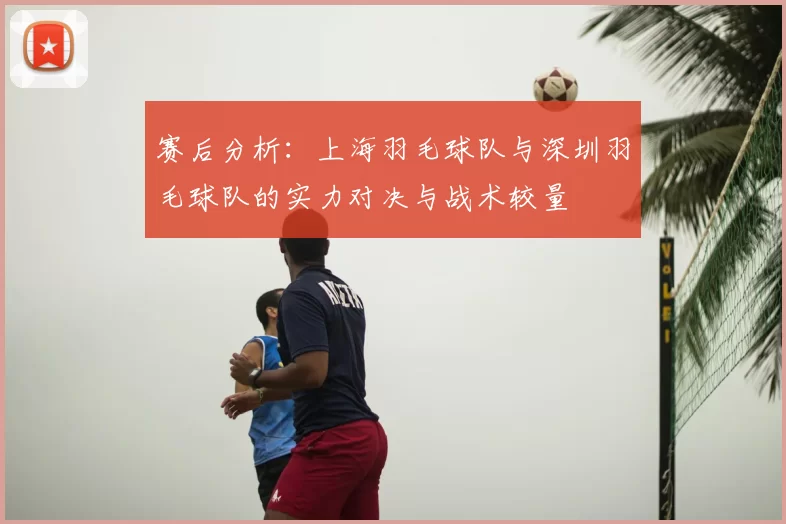 赛后分析:上海羽毛球队与深圳羽毛球队的实力对决与战术较量