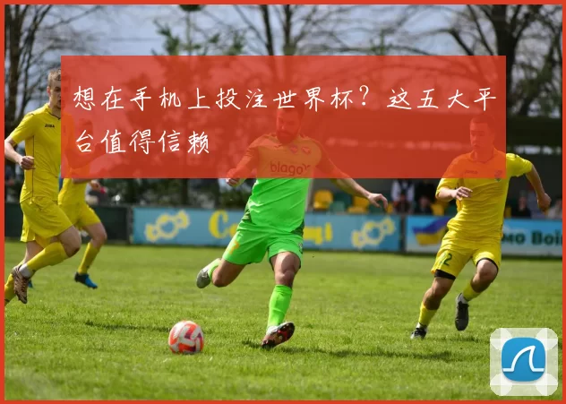 想在手机上投注世界杯？这五大平台值得信赖