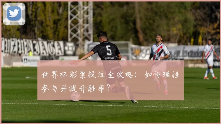 世界杯彩票投注全攻略：如何理性参与并提升胜率？