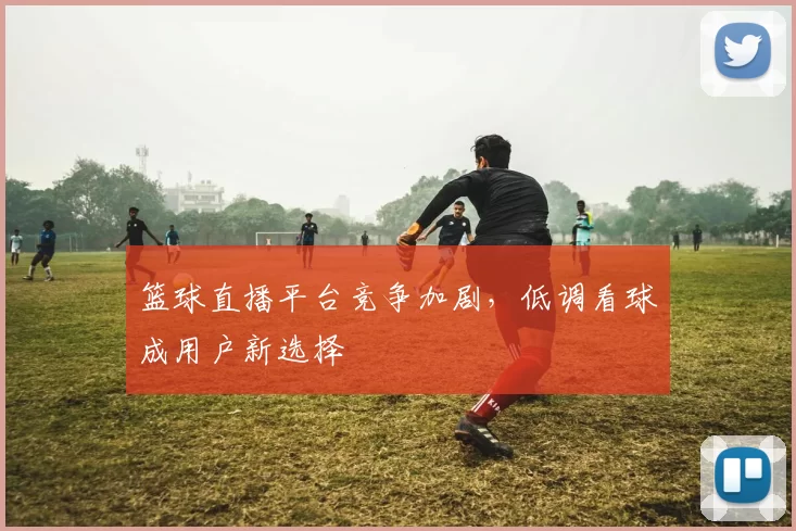 篮球直播平台竞争加剧,低调看球成用户新选择