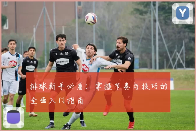 排球新手必看:掌握节奏与技巧的全面入门指南