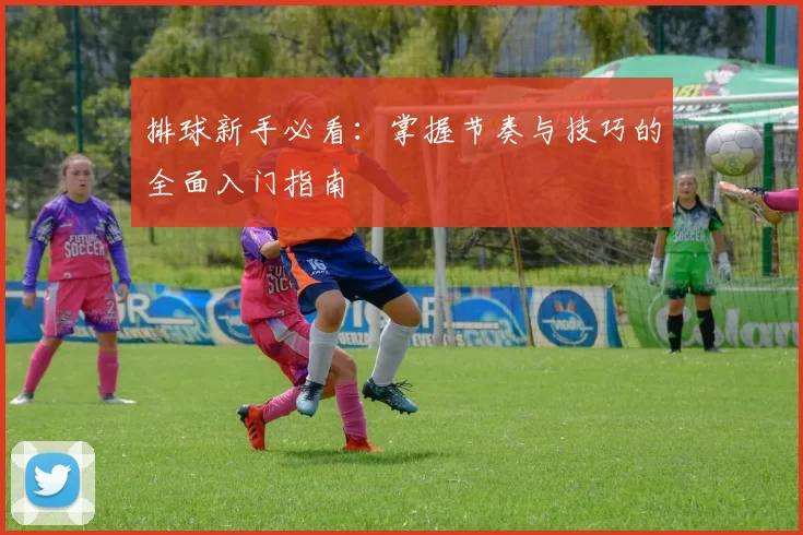 排球新手必看:掌握节奏与技巧的全面入门指南