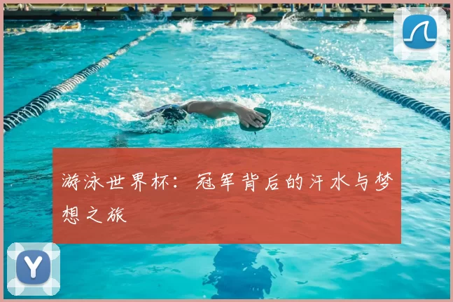 游泳世界杯:冠军背后的汗水与梦想之旅