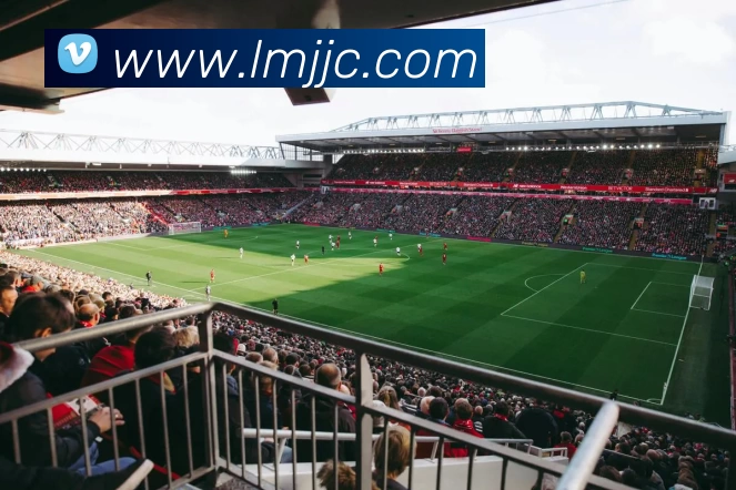 华体会体育APP 封面图